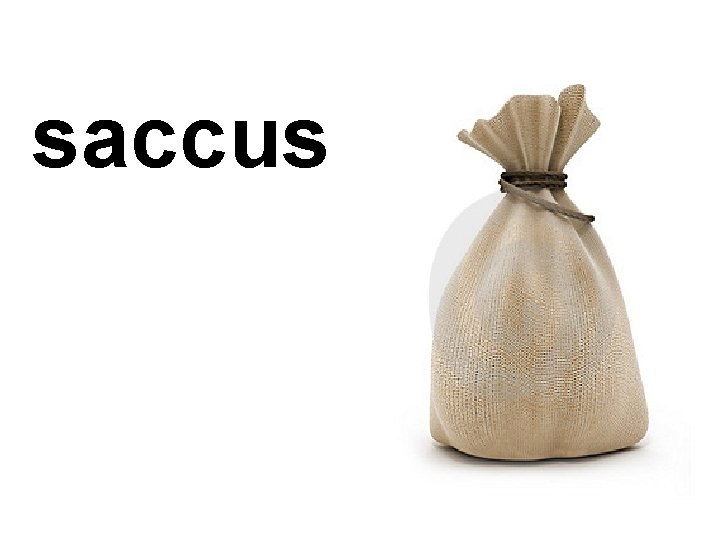 saccus 