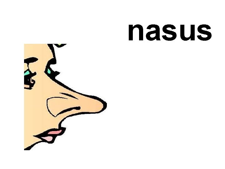 nasus 