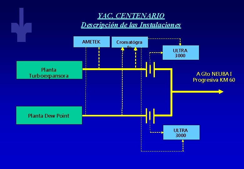 YAC. CENTENARIO Descripción de las Instalaciones AMETEK Cromatógra fo ULTRA 3000 Planta Turboexpansora A