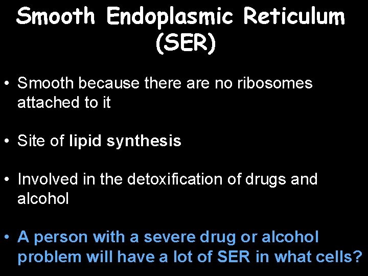 Smooth Endoplasmic Reticulum (SER) • Smooth because there are no ribosomes attached to it