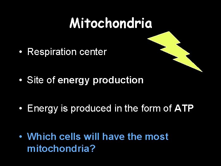 Mitochondria • Respiration center • Site of energy production • Energy is produced in