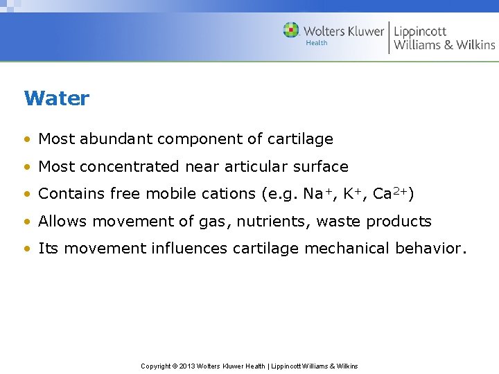 Water • Most abundant component of cartilage • Most concentrated near articular surface •