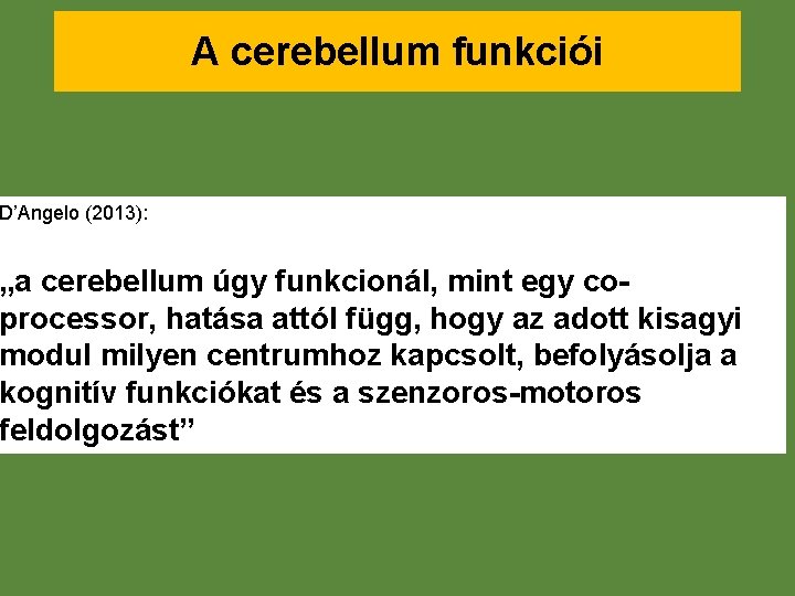 A cerebellum funkciói D’Angelo (2013): „a cerebellum úgy funkcionál, mint egy coprocessor, hatása attól