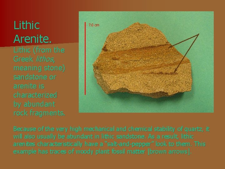 Lithic Arenite. Lithic (from the Greek lithos, meaning stone) sandstone or arenite is characterized