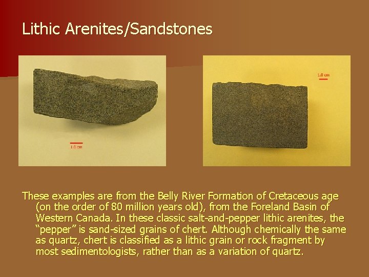 Lithic Arenites/Sandstones These examples are from the Belly River Formation of Cretaceous age (on