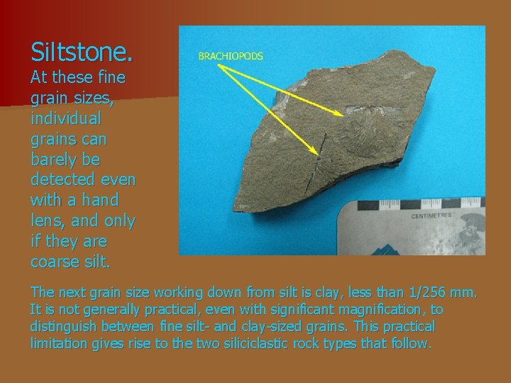 Siltstone. At these fine grain sizes, individual grains can barely be detected even with Siltstone. At these fine grain sizes, individual grains can barely be detected even with