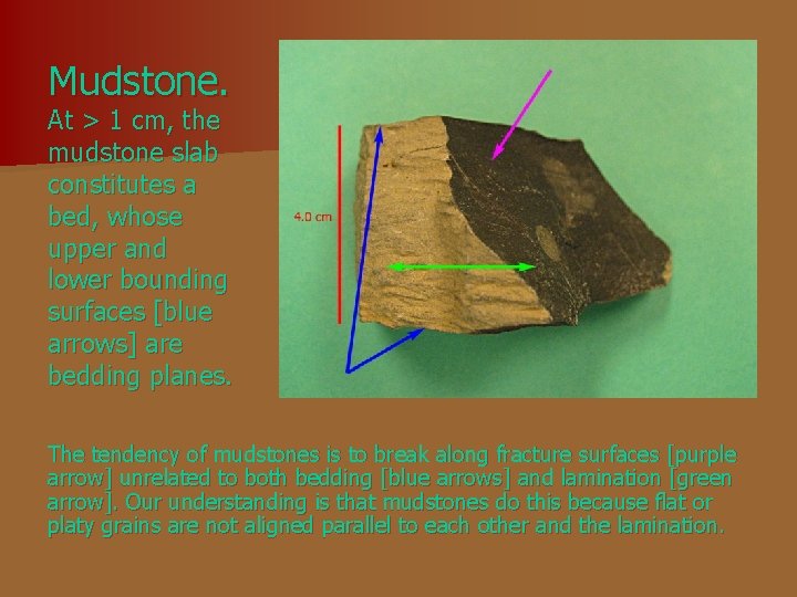 Mudstone. At > 1 cm, the mudstone slab constitutes a bed, whose upper and Mudstone. At > 1 cm, the mudstone slab constitutes a bed, whose upper and