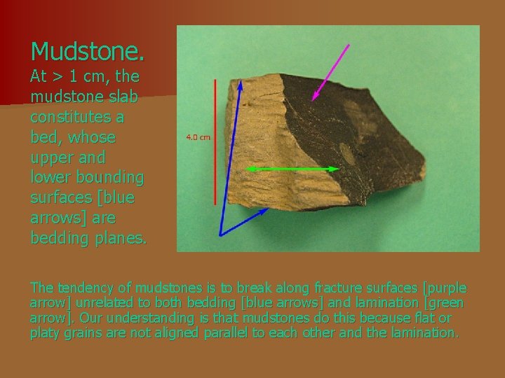 Mudstone. At > 1 cm, the mudstone slab constitutes a bed, whose upper and