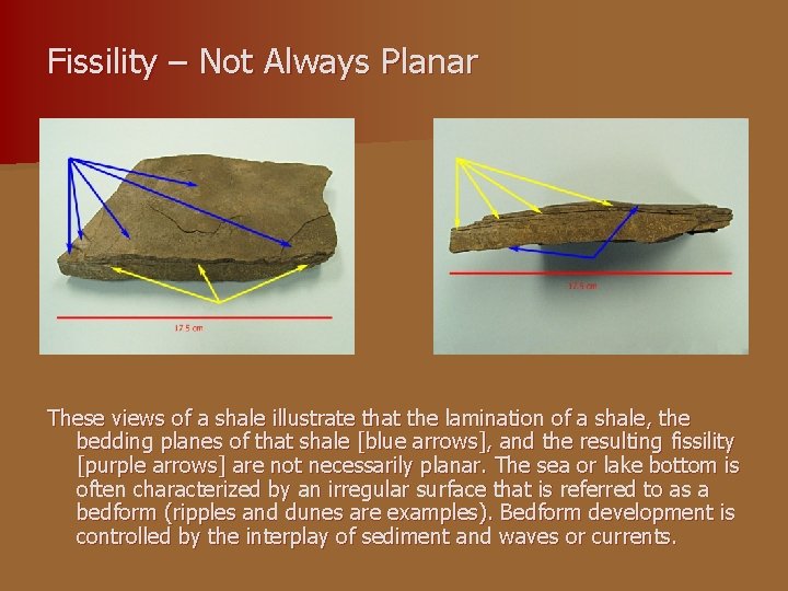 Fissility – Not Always Planar These views of a shale illustrate that the lamination