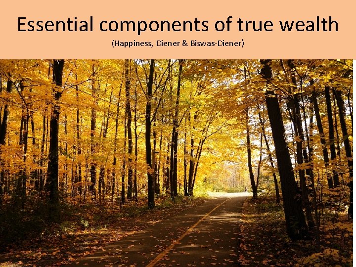 Essential components of true wealth (Happiness, Diener & Biswas-Diener) 