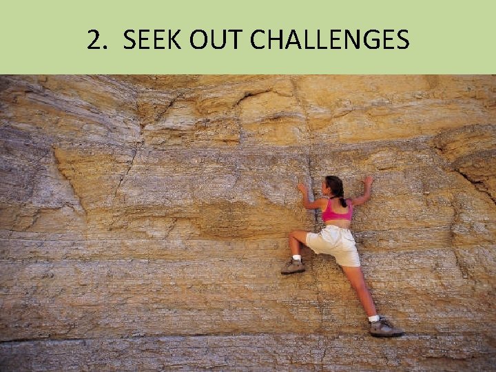 2. SEEK OUT CHALLENGES 