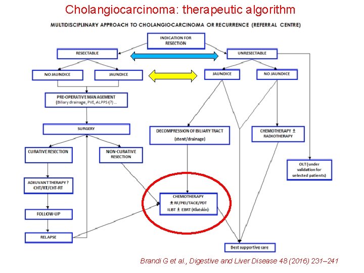 Cholangiocarcinoma: therapeutic algorithm Brandi G et al. , Digestive and Liver Disease 48 (2016)
