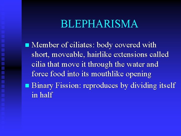 BLEPHARISMA Member of ciliates: body covered with short, moveable, hairlike extensions called cilia that