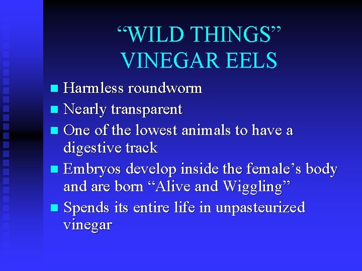 “WILD THINGS” VINEGAR EELS Harmless roundworm n Nearly transparent n One of the lowest