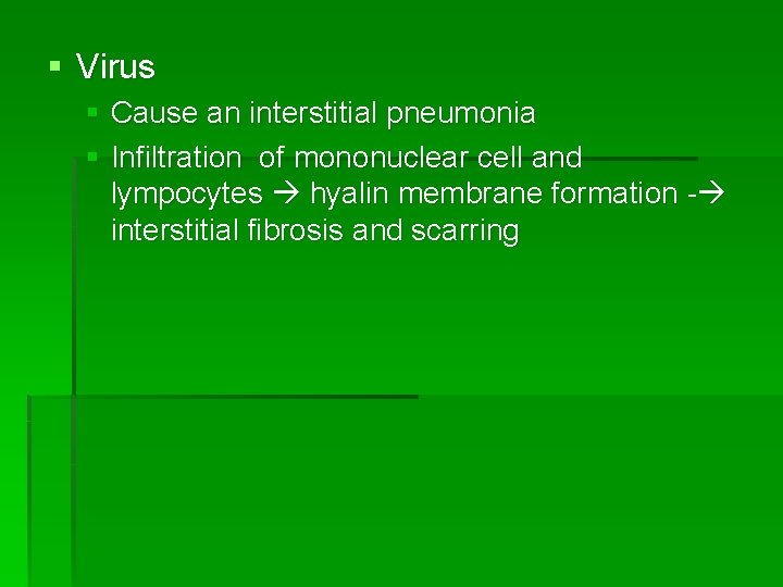 § Virus § Cause an interstitial pneumonia § Infiltration of mononuclear cell and lympocytes