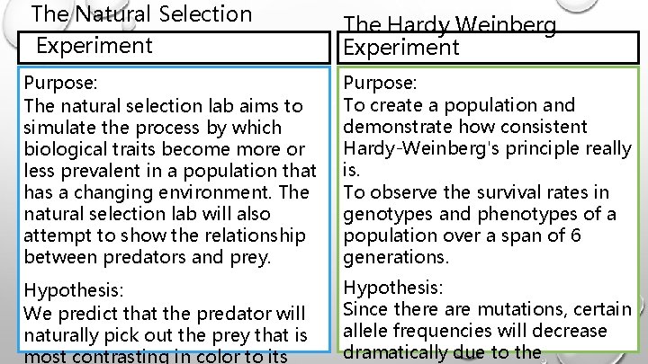 The Natural Selection Experiment The Hardy Weinberg Experiment Purpose: The natural selection lab aims