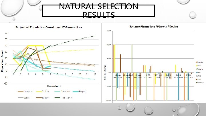 NATURAL SELECTION RESULTS 