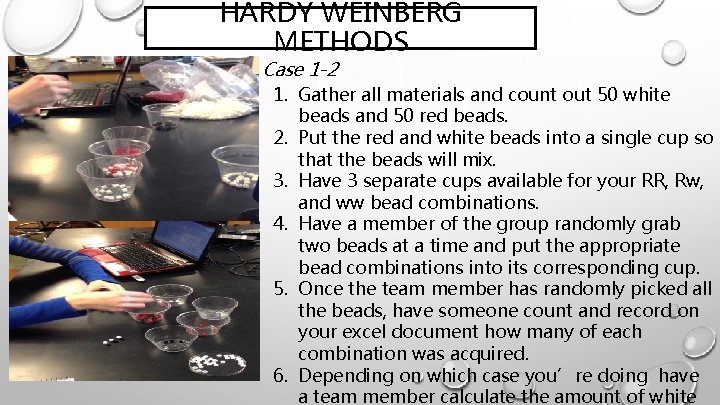 HARDY WEINBERG METHODS Case 1 -2 1. Gather all materials and count out 50