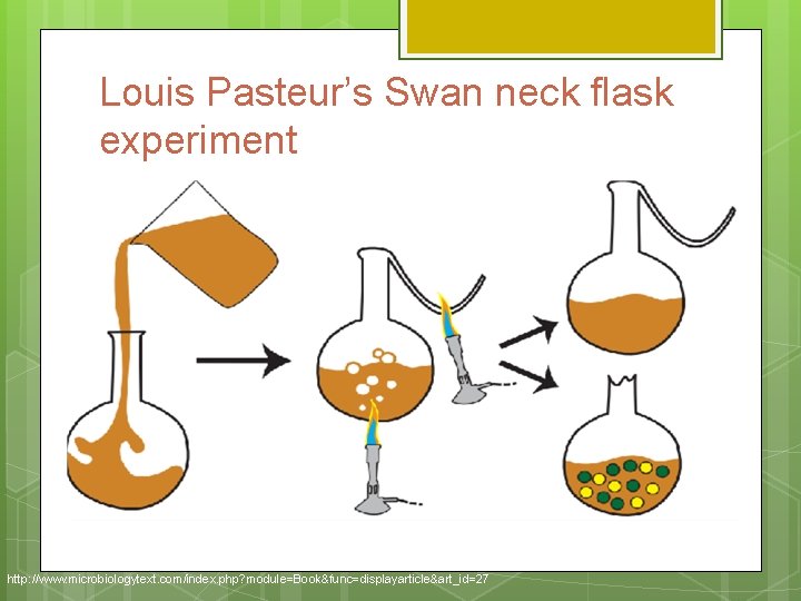 Louis Pasteur’s Swan neck flask experiment http: //www. microbiologytext. com/index. php? module=Book&func=displayarticle&art_id=27 