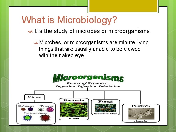 What is Microbiology? It is the study of microbes or microorganisms Microbes, or microorganisms