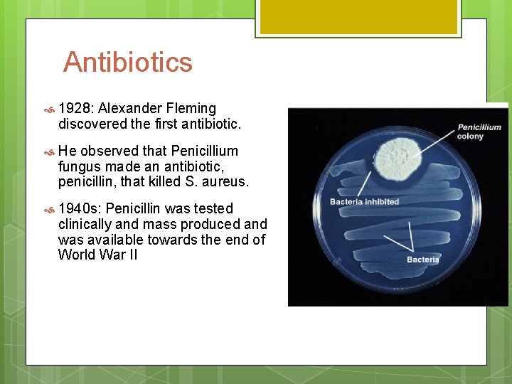 Antibiotics 1928: Alexander Fleming discovered the first antibiotic. He observed that Penicillium fungus made