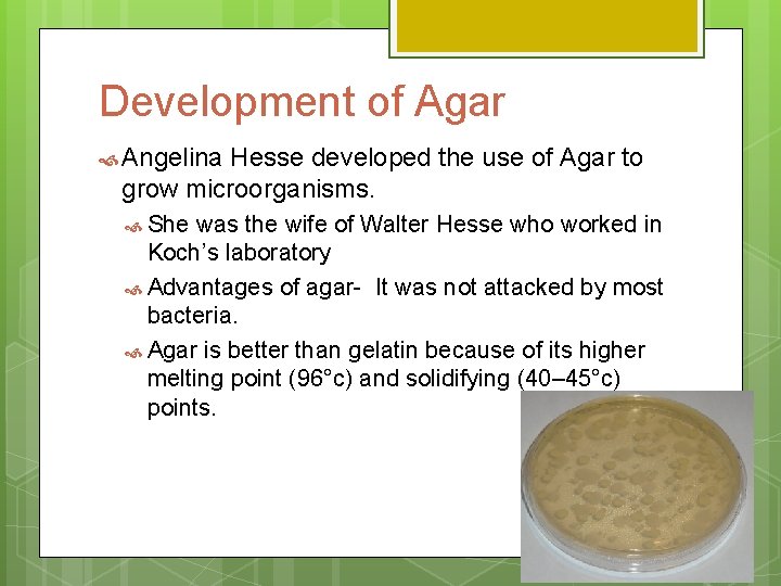 Development of Agar Angelina Hesse developed the use of Agar to grow microorganisms. She