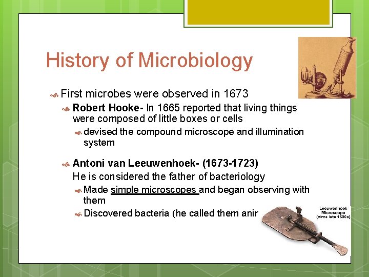 History of Microbiology First microbes were observed in 1673 Robert Hooke- In 1665 reported