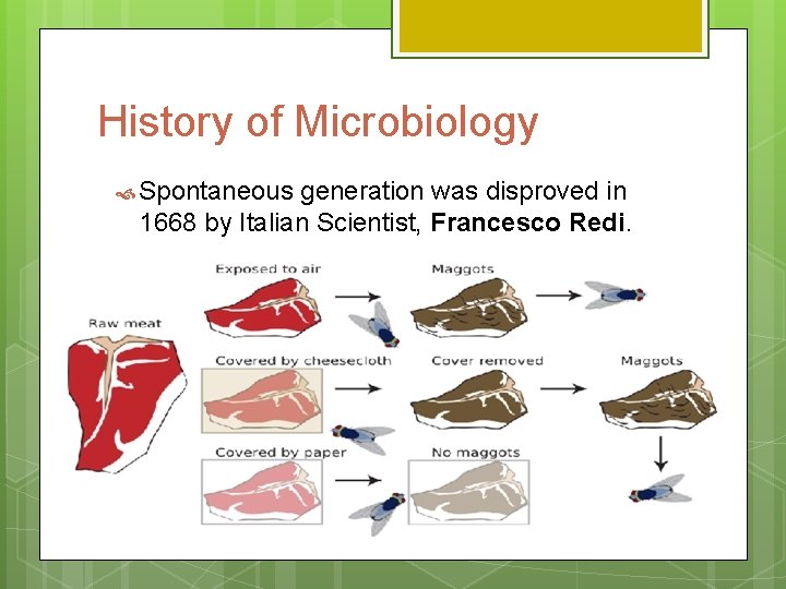 History of Microbiology Spontaneous generation was disproved in 1668 by Italian Scientist, Francesco Redi.