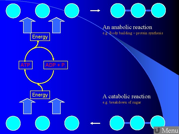 An anabolic reaction Energy ATP e. g. Body building – protein synthesis ADP +