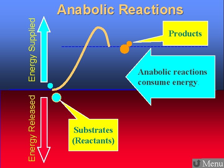 16 Energy Released Energy Supplied Anabolic Reactions Products Anabolic reactions consume energy. Substrates (Reactants)