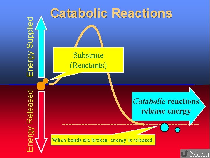 Energy Supplied Energy Released 17 Catabolic Reactions Substrate (Reactants) Catabolic reactions release energy When