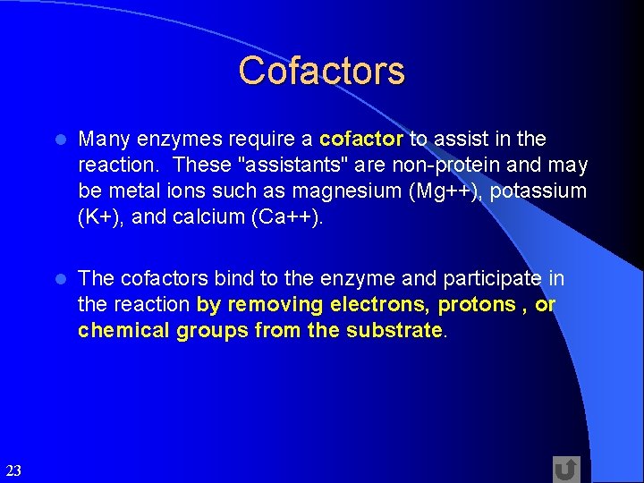 Cofactors 23 l Many enzymes require a cofactor to assist in the reaction. These