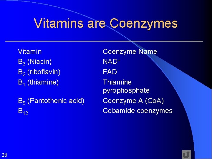 Vitamins are Coenzymes Vitamin B 3 (Niacin) B 2 (riboflavin) B 1 (thiamine) B