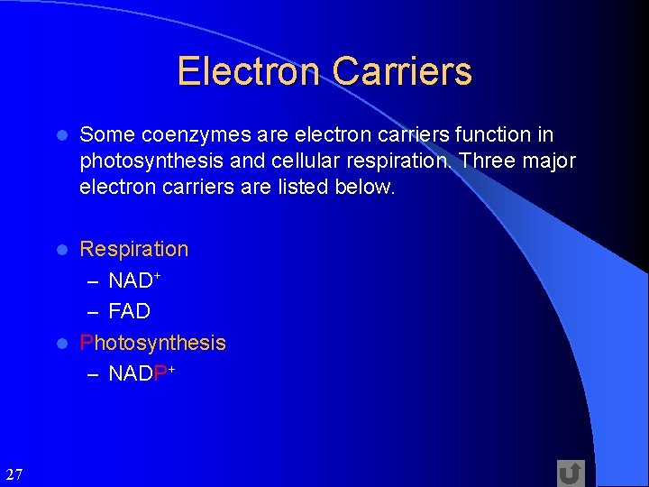 Electron Carriers l Some coenzymes are electron carriers function in photosynthesis and cellular respiration.