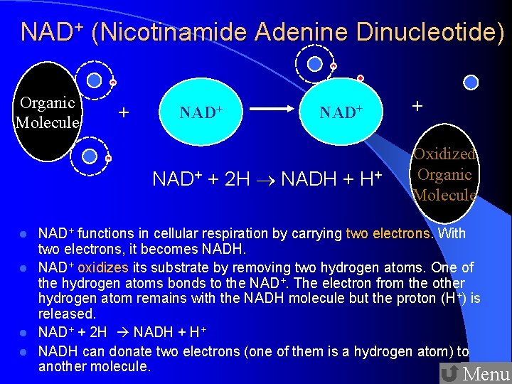 NAD+ (Nicotinamide Adenine Dinucleotide) Organic Molecule + NAD+ + 2 H NADH + H+