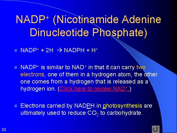 NADP+ (Nicotinamide Adenine Dinucleotide Phosphate) 32 l NADP+ + 2 H NADPH + H+