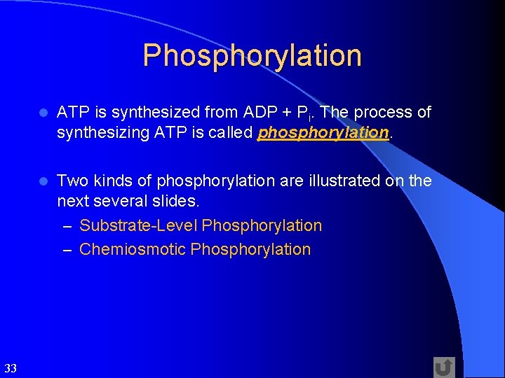 Phosphorylation 33 l ATP is synthesized from ADP + Pi. The process of synthesizing