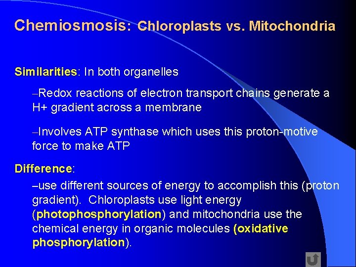 Chemiosmosis: Chloroplasts vs. Mitochondria Similarities: In both organelles Similarities –Redox reactions of electron transport