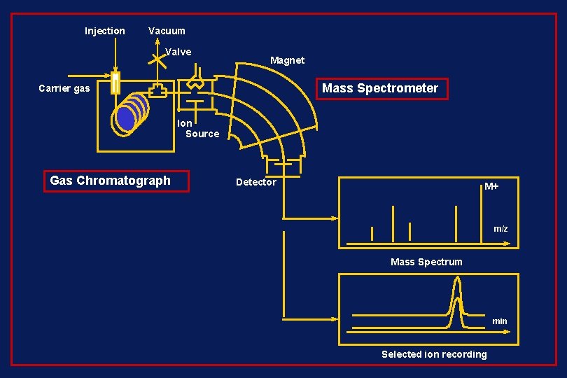Injection Vacuum Valve Magnet Mass Spectrometer Carrier gas Ion Source Gas Chromatograph Detector M+