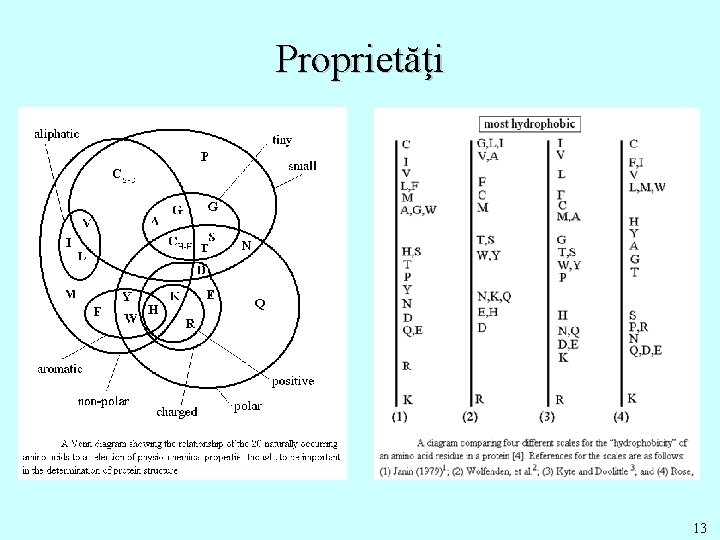 Proprietăţi 13 