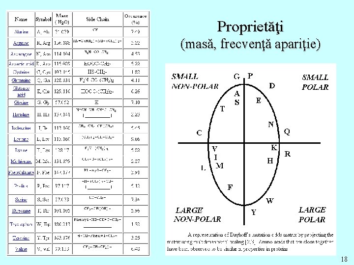 Proprietăţi (masă, frecvenţă apariţie) 18 