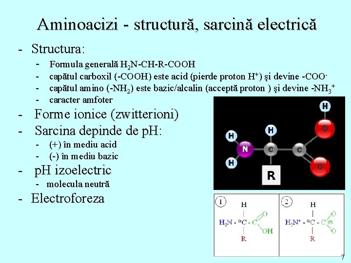 Aminoacizi - structură, sarcină electrică - Structura: - Formula generală H 2 N-CH-R-COOH -