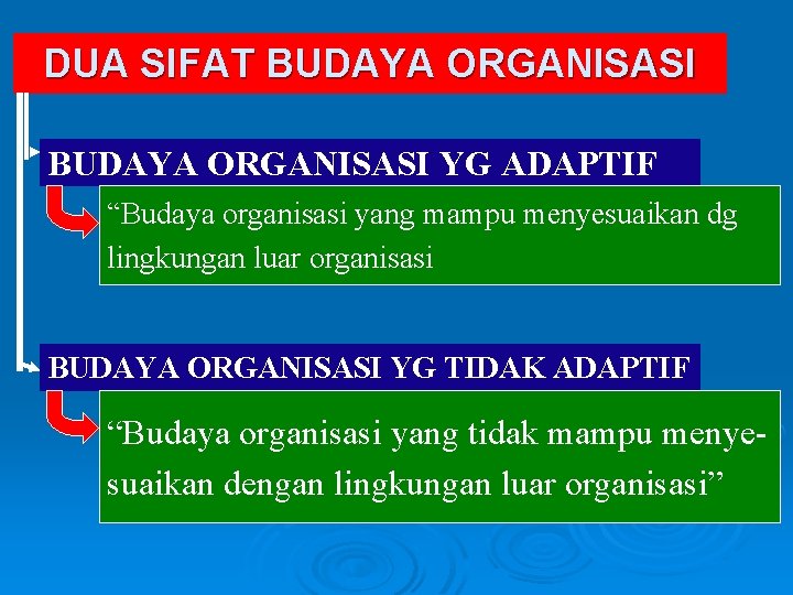 DUA SIFAT BUDAYA ORGANISASI YG ADAPTIF “Budaya organisasi yang mampu menyesuaikan dg lingkungan luar