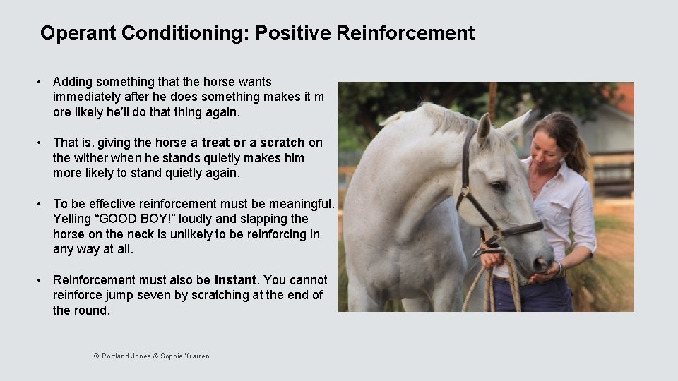 Operant Conditioning: Positive Reinforcement • Adding something that the horse wants immediately after he