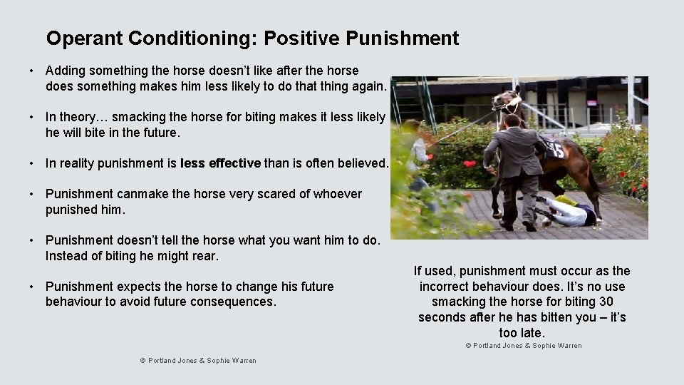 Operant Conditioning: Positive Punishment • Adding something the horse doesn’t like after the horse