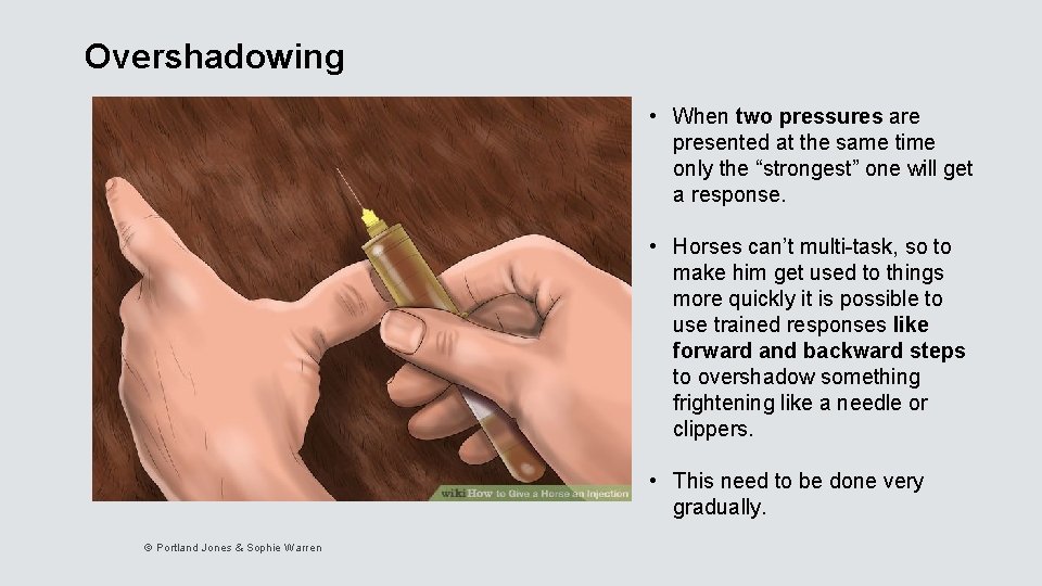 Overshadowing • When two pressures are presented at the same time only the “strongest”
