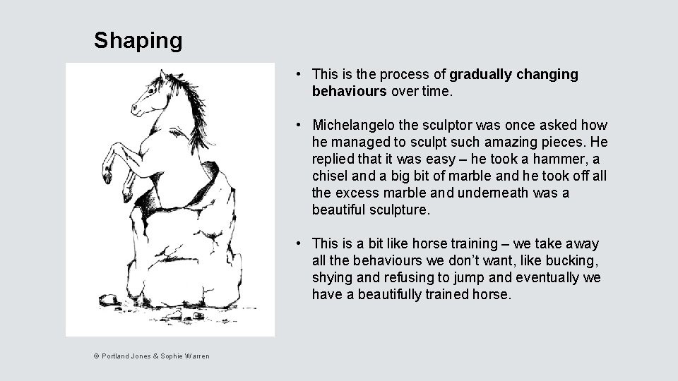 Shaping • This is the process of gradually changing behaviours over time. • Michelangelo