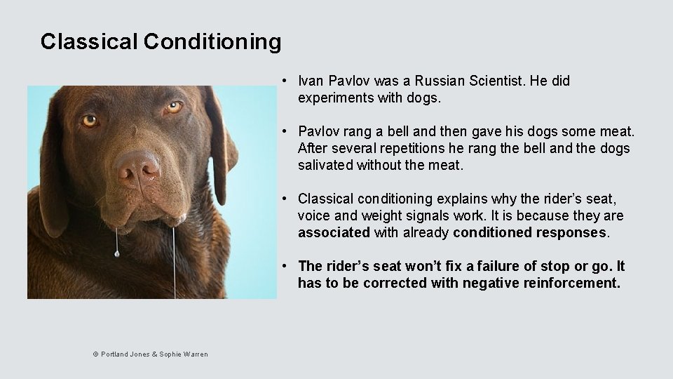 Classical Conditioning • Ivan Pavlov was a Russian Scientist. He did experiments with dogs.