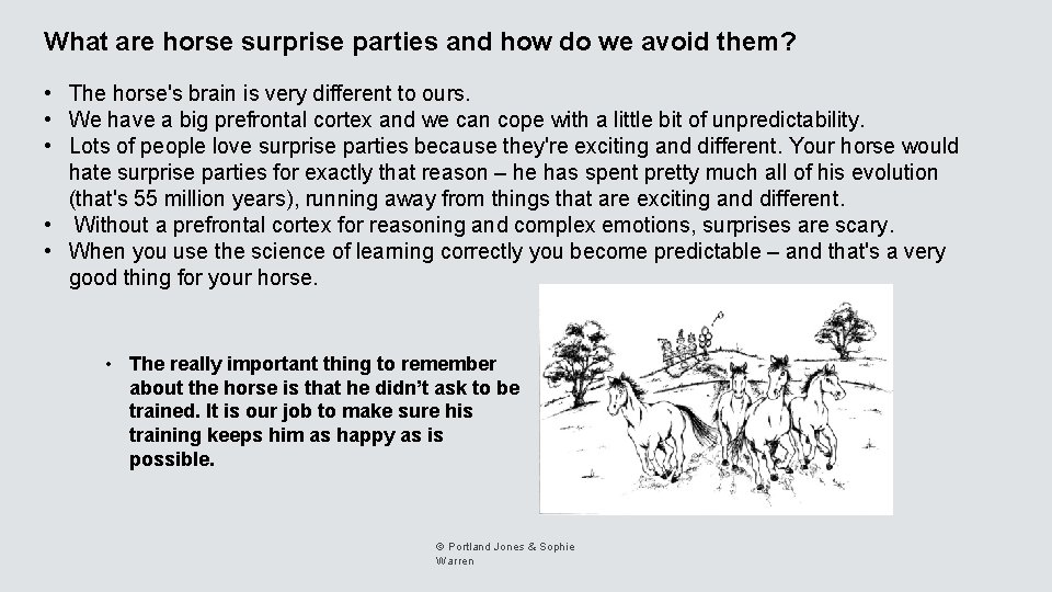 What are horse surprise parties and how do we avoid them? • The horse's