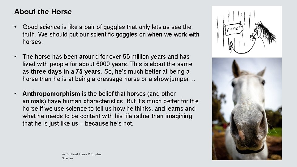 About the Horse • Good science is like a pair of goggles that only